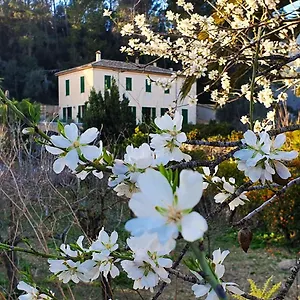 Sa Maniga , Bunyola (Buñola) España